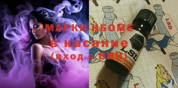 стафф Алзамай