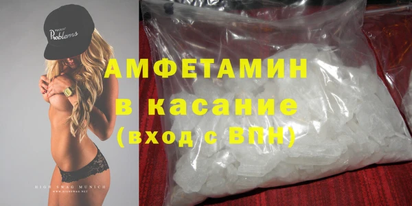 гидра Абаза