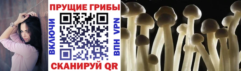 Галлюциногенные грибы Psilocybine cubensis  как найти наркотики  мега маркетплейс  Омск 