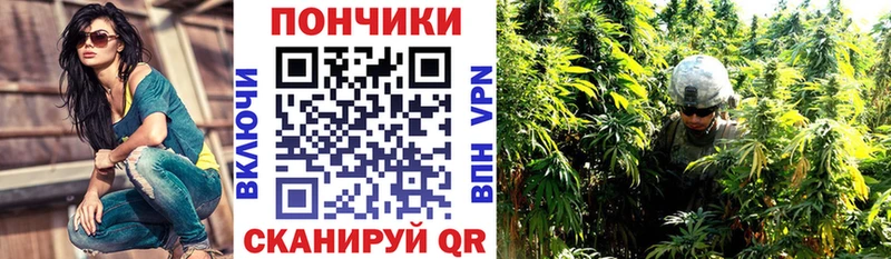 OMG маркетплейс  цена наркотик  Омск  Канабис план 